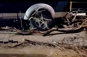 Πτώση δέντρου