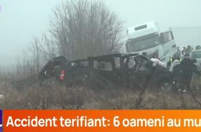 Τραγωδία στη Ρουμανία: 7 οπαδοί του ΠΑΟΚ έχασαν τη ζωή τους σε σοβαρό τροχαίο δυστύχημα