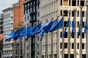Σημαίες της Ευρωπαϊκής Ένωσης