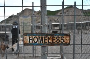 Καταφύγιο αδέσποτων ζώων