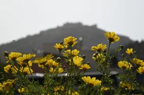 O καιρός σήμερα, Σάββατο 7 Φεβρουαρίου: Υψηλή για την εποχή θερμοκρασία και μεταφορά αφρικανικής σκόνης - Πού θα εκδηλωθούν βροχές.