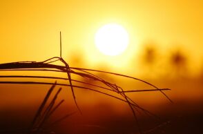 Copernicus: Ο Ιανουάριος του 2026 ήταν ο 5ος θερμότερος που καταγράφτηκε ποτέ