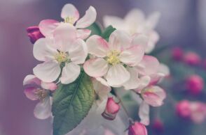 Εορτολόγιο: Σήμερα, 20 Φεβρουαρίου 2026, γιορτάζει…