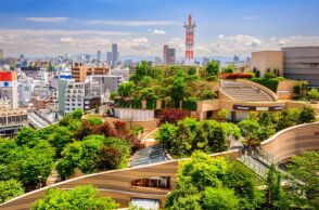 Ανώνυμη δωρεά 21 κιλών χρυσού έλαβε πόλη στην Ιαπωνία για την επισκευή των σωλήνων ύδρευσης - Ο δήμαρχος της Οσάκα δήλωσε «άναυδος» από τη χειρονομία.