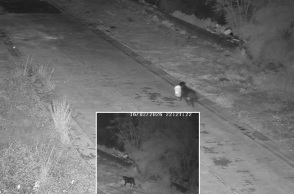 Άνδρας στη Σικελία εκπαίδευσε τον σκύλο του να αφήνει σκουπίδια στον δρόμο για να αποφεύγει κάμερες - Ταυτοποιήθηκε και τιμωρήθηκε.