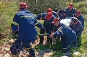 Η επιχείρηση διάσωσης του άνδρα στο Άλσος Βεϊκου