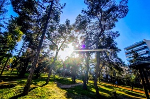 Ήλιος πίσω από τα φυλλώματα δέντρου