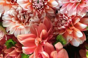 Εορτολόγιο: Σήμερα, 26 Φεβρουαρίου 2026, γιορτάζει…