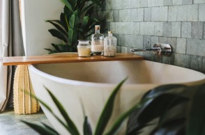 Διακόσμηση μπάνιου: Ποια φυτά αντέχουν στην υγρασία και πώς αλλάζουν την ατμόσφαιρα;