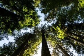 «Καμπάνα» 10 εκατ. ευρώ στην Πορτογαλία από την ΕΕ για την προστασία της βιοποικιλότητας