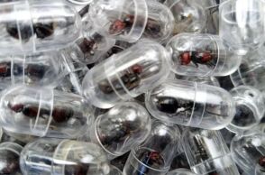 Κινέζος κατηγορείται για απόπειρα λαθρεμπορίας 2.000 μυρμηγκιών από την Κένυα - Oδηγήθηκαν στη δικαιοσύνη για παράνομη εμπορία άγριας ζωής 