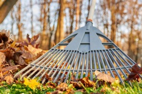 Καθαρισμός οικοπέδου στην εξοχή με τσουγκράνα