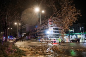 Πτώσεις δέντρων στην Πειραιώς