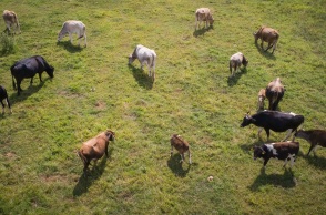 Από τα βοσκοτόπια στη χρεοκοπία