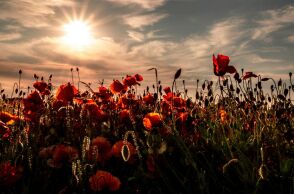 Εορτολόγιο: Σήμερα 8 Απριλίου 2026 γιορτάζει…