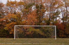 soccer-net-on-a-field-in-a-park-with-autumn-trees-2026-03-17-21-46-32-utc