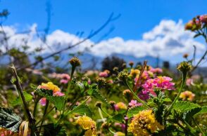 Ο καιρός την Κυριακή του Πάσχα: Άνοδος θερμοκρασίας έως 22°C, παροδικές νεφώσεις και τοπικές βροχές στα ηπειρωτικά ορεινά - Αναλυτική πρόγνωση