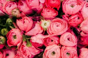 Εορτολόγιο: Σήμερα 16 Απριλίου 2026 γιορτάζει…