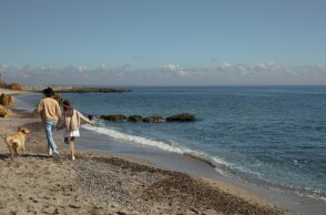 Ζευγάρι με τον σκύλο τους σε παραλία