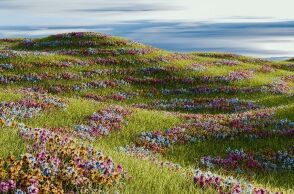 Εορτολόγιο: Σήμερα 18 Απριλίου 2026 γιορτάζει…