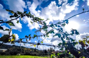 Σύννεφα στον ουρανό