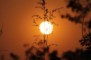 Ελ Νίνιο: Πιθανή επιστροφή από το καλοκαίρι 2026 – Υψηλότερες θερμοκρασίες παγκοσμίως