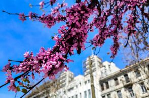 Καιρός σήμερα: Ήλιος στις περισσότερες περιοχές και τοπικές βροχές σε Κρήτη και Δωδεκάνησα - Θερμοκρασίες έως 23°C και άνεμοι έως 6 μποφόρ.