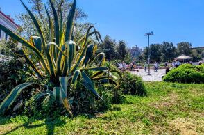 Ο καιρός την Πρωτομαγιά: Πού θα θυμίζει φθινόπωρο