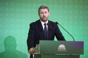 Νίκος Ανδρουλάκης, πρόεδρος ΠΑΣΟΚ