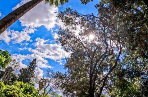 Καλός καιρός με ηλιοφάνεια