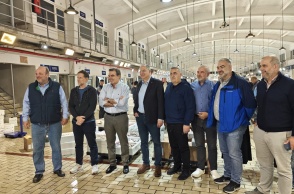 Αλιεία