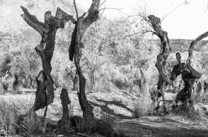 Θάνος Τσάκαλος: Ήθελα να δώσω φωνή στη σιωπή