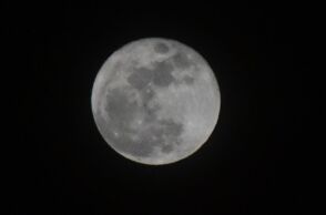 athensvoice_-_2026-05-31t164145_076