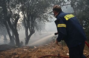 Φωτιά τώρα στη Φθιώτιδα - Επιχειρούν τρία εναέρια μέσα