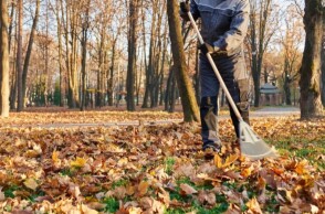 Ιδιοκτήτης προχωρεί σε εργασίες σε ακαθάριστα οικόπεδα