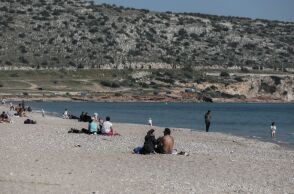 Λαγοκέφαλος επιτέθηκε σε γυναίκα που κολυμπούσε στη Βάρκιζα - Τη δάγκωσε στο πόδι, χρειάστηκε ράμματα