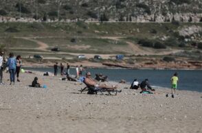 Βάρκιζα: Διαψεύδει την επίθεση λαγοκέφαλου σε λουόμενη ο Δήμος