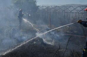 83 αγροτοδασικές πυρκαγιές ξέσπασαν το τελευταίο 48ωρο - Τα πιο δύσκολα μέτωπα
