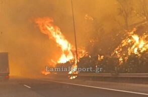 Συνεχίζεται η μάχη με τις φλόγες στο Ακραιφνίο Βοιωτίας - Έκλεισε η εθνική, πού εκτρέπεται η κυκλοφορία