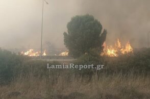 Έκλεισε η Αθηνών - Λαμίας λόγω της φωτιάς στο Ακραίφνιο Βοιωτίας - Ισχυροί οι άνεμοι στην περιοχή