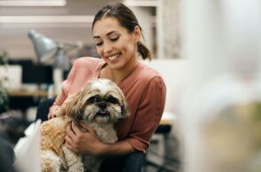 Νέα έρευνα της Mars: Οι pet-friendly χώροι εργασίας κερδίζουν έδαφος - Η Gen Z και οι Millennials οδηγούν την αλλαγή 