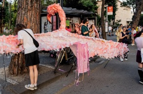 Αλβανία: Η Επανάσταση των Φλαμίνγκο