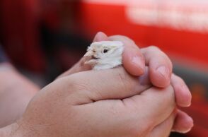 7016335__1_