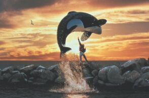 Το Free Willy επιστρέφει - Οι δημιουργοί της Marvel, αδελφοί Ρούσο, αναλαμβάνουν την παραγωγή της νέας ταινίας για τη διάσημη όρκα.