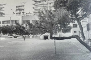 Τάσος Ζαφειριάδης Δίκην μνημοσύνου για το στραβό δέντρο στο 41ο Δημοτικό Σχολείο