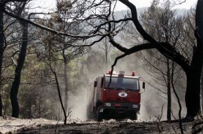 Χαλκιδική: Απαγόρευση διέλευσης την Τετάρτη σε Κασσάνδρα, Σιθωνία και Δήμο Αριστοτέλη λόγω αυξημένου κινδύνου πυρκαγιάς - Αναλυτικά οι περιοχές.