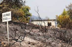Στάχτη και αποκαΐδια στην Ισπανία μετά τις πυρκαγιές