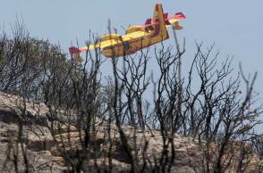 Canadair πάνω από καμένες εκτάσεις μετά την πυρκαγιά