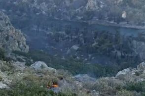 Κάηκε μεγάλο μέρος του εμβληματικού φοινικόδασους της Πρέβελης  - Αποκαρδιωτικές εικόνες