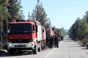 Πυροσβέστες επιχειρούν σε φωτιά στη Χαλκιδική